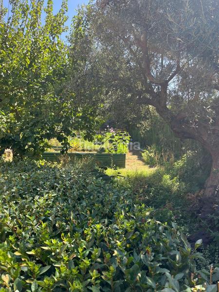 Foto d5ba0a2c-431f-4a17-af66-b353505c33dc. Mas dans durcal sin n dans Nigüelas