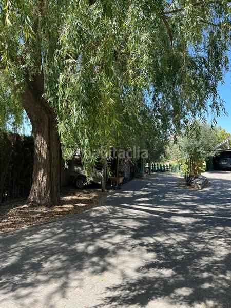 Foto ed14ab00-cef7-4d06-aaef-8db74e126c91. Mas dans durcal sin n dans Nigüelas