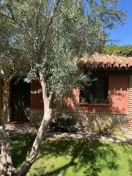 Foto f5fe4894-2767-4745-80d2-58bf735dad6b. Mas dans durcal sin n dans Nigüelas