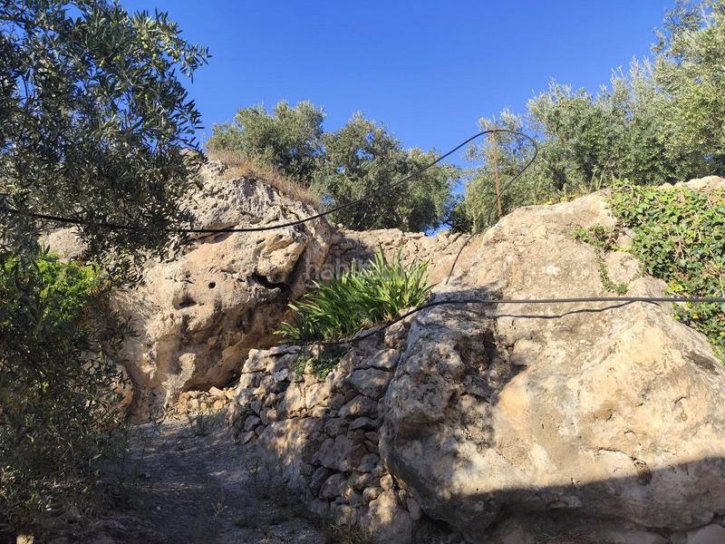 Foto 3ee9fbbb-f1f4-4f2b-82fb-db01430c6727. Casale in izbor sin n in Pinar (El)