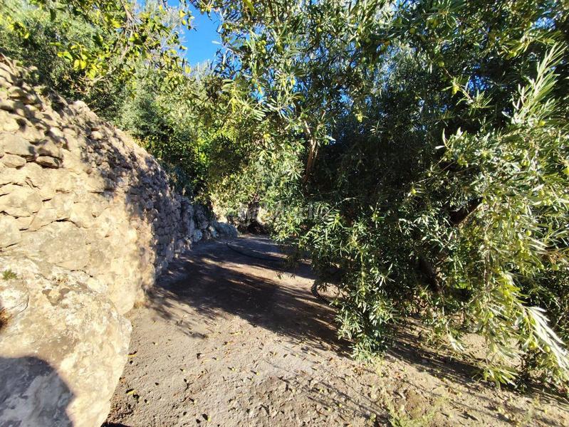 Foto 6a4af57e-22ce-45c3-bdcd-59a50da299b4. Casale in izbor sin n in Pinar (El)