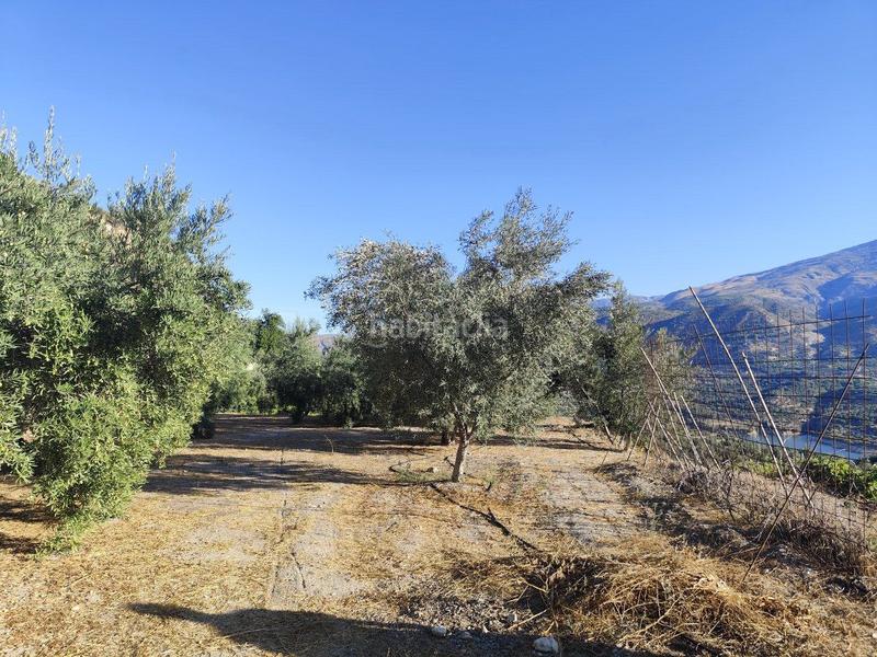 Foto 77422a85-e660-49c6-8ab0-5527c2f9061f. Casale in izbor sin n in Pinar (El)