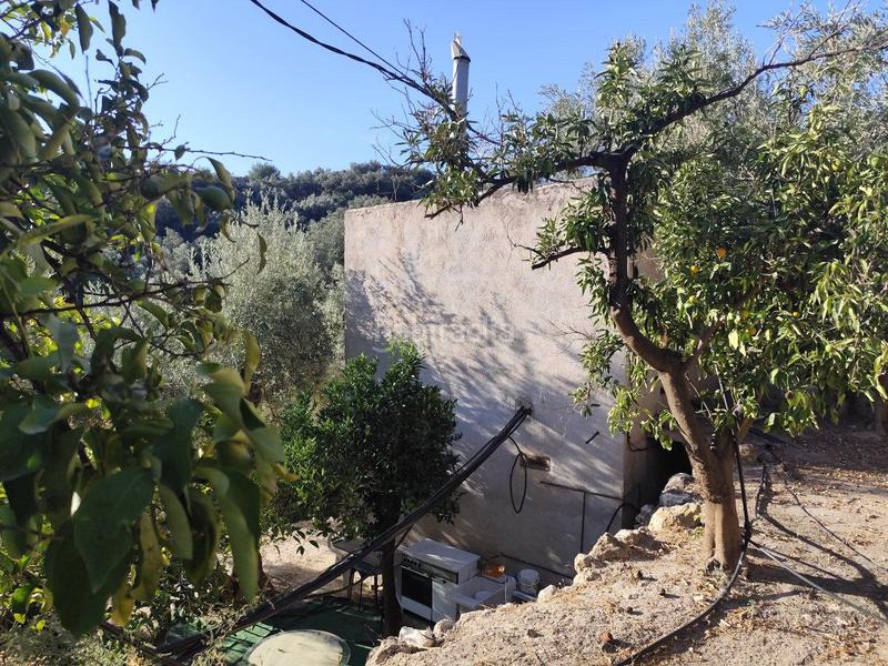 Foto a6a90e42-556b-47aa-a4e8-00c694da0b6b. Casale in izbor sin n in Pinar (El)