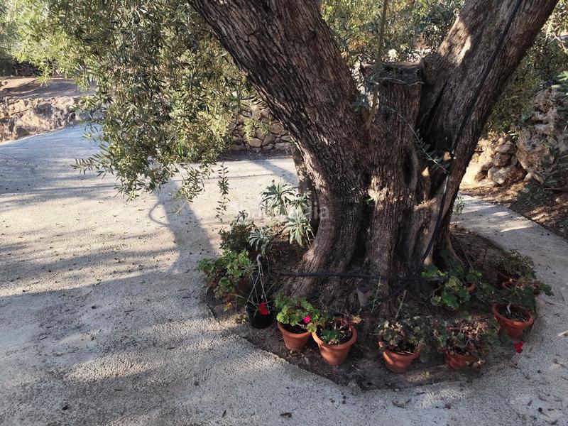 Foto e0ff8c8b-95cc-41a4-aa15-a180433d248c. Casale in izbor sin n in Pinar (El)