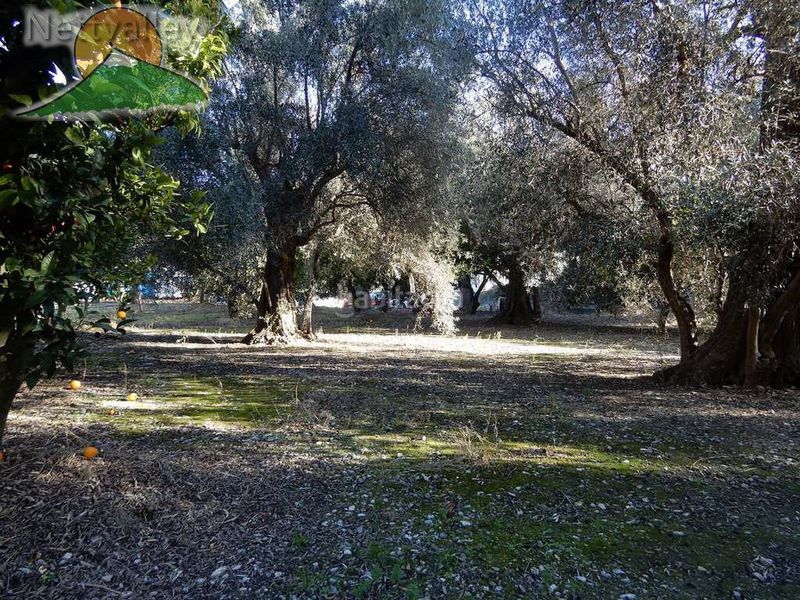 Foto 0e4bf936-5cd3-488f-a540-1257824061e7. Casa a juncal 7 a Pinar (El)