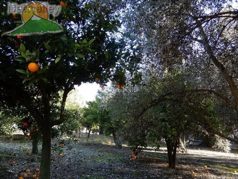 Foto 34ddbaf7-40f5-4cf0-b529-9ac1a3f683d7. Casa a juncal 7 a Pinar (El)