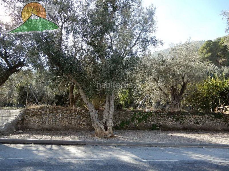 Foto 42d119ef-90dd-4067-a940-e8277873e6d7. Casa a juncal 7 a Pinar (El)