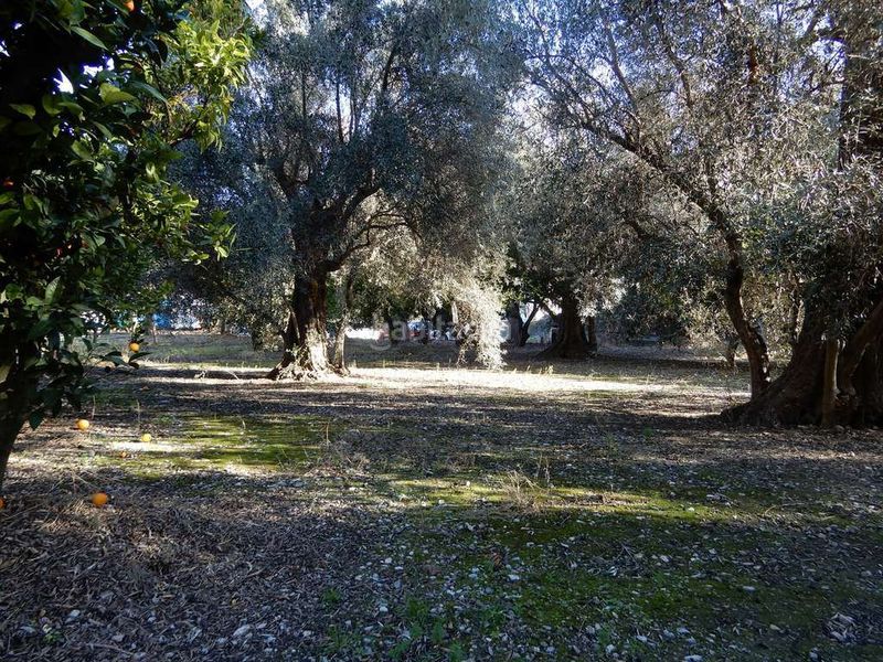 Foto 4329f3c8-82b4-45b0-b1c6-68c18241b7df. Casa a juncal 7 a Pinar (El)