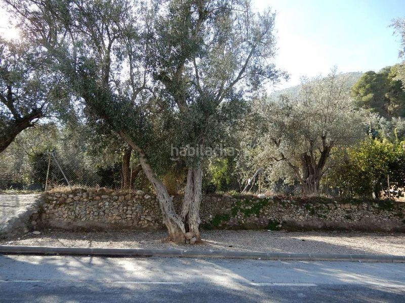 Foto 9606720c-7133-4e6a-ab63-cd412eecc8ee. Casa a juncal 7 a Pinar (El)