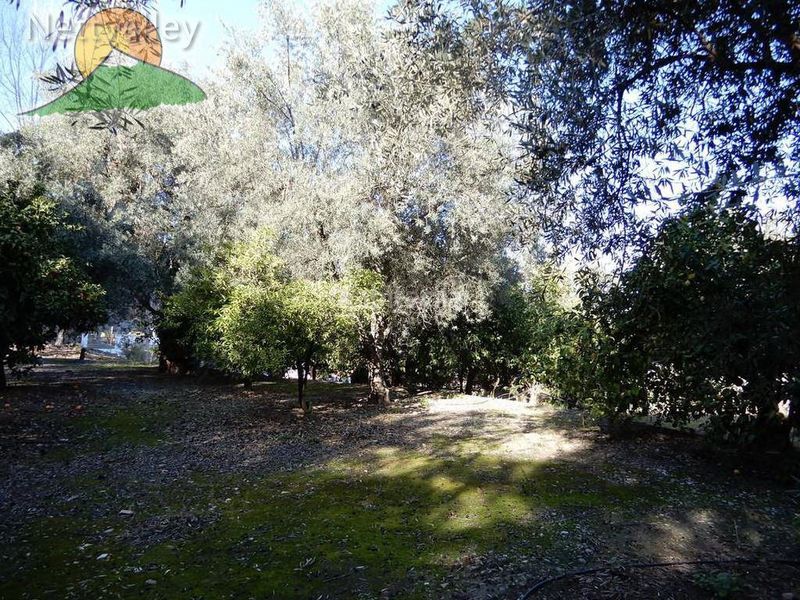 Foto a8e43273-f992-43eb-a943-566970ef965a. Casa a juncal 7 a Pinar (El)