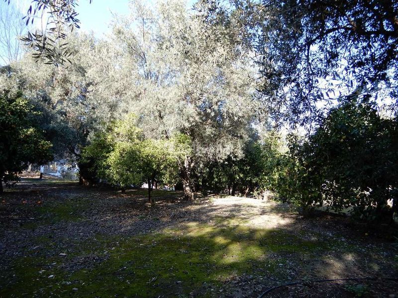 Foto ea2b04f9-0e0b-4d71-9496-fdceef7c8870. Casa a juncal 7 a Pinar (El)