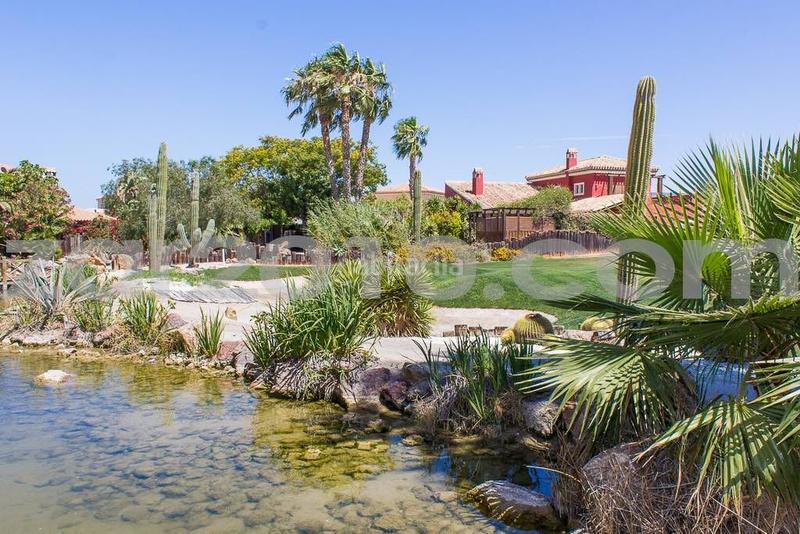 Foto debad892-1c99-4b6f-bd6a-7d0d7d26efd5. Terreny residencial a Vera ciudad Vera
