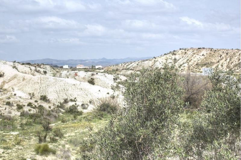 Foto 1025233a-91b5-428f-ad46-9025814df129. Fondo rustico in Antas