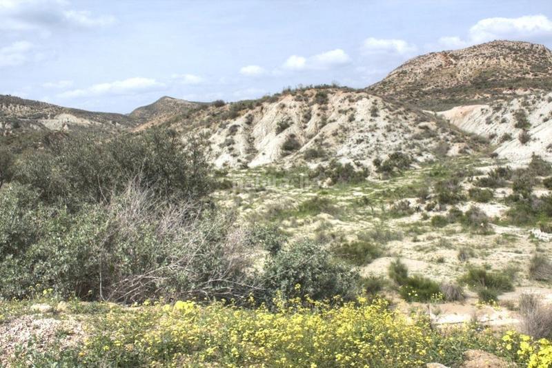 Foto ac885828-b00f-4295-a4ac-b402e039ed92. Fondo rustico in Antas