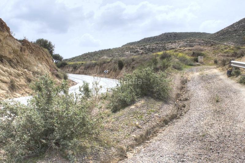 Foto ecf22879-1bd3-45ca-9398-e81b598aa2c1. Fondo rustico in Antas