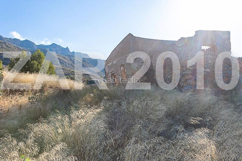 Foto 71d9dcd5-047c-4cd6-ae9e-64c3c2369ee3. Finca rústica en Mojácar pueblo Mojácar