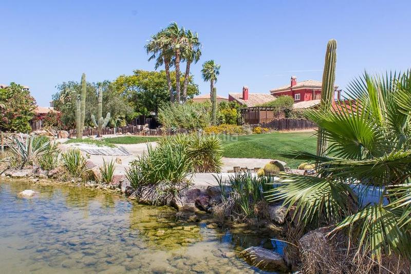 Foto 805aec70-ff33-4ddd-983c-9a551b9afa16. Apartment with parking pool in Vera ciudad Vera