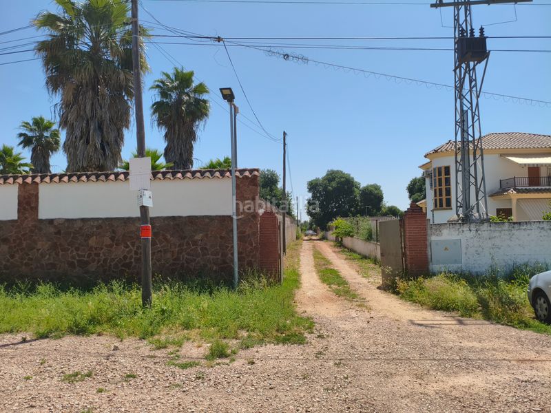 Foto c7327d73-f4f4-4ed9-b030-66d8ae0e33fe. Finca rústica a extrarradio la colina 154 a Paraíso Arenal - La Colina Córdoba