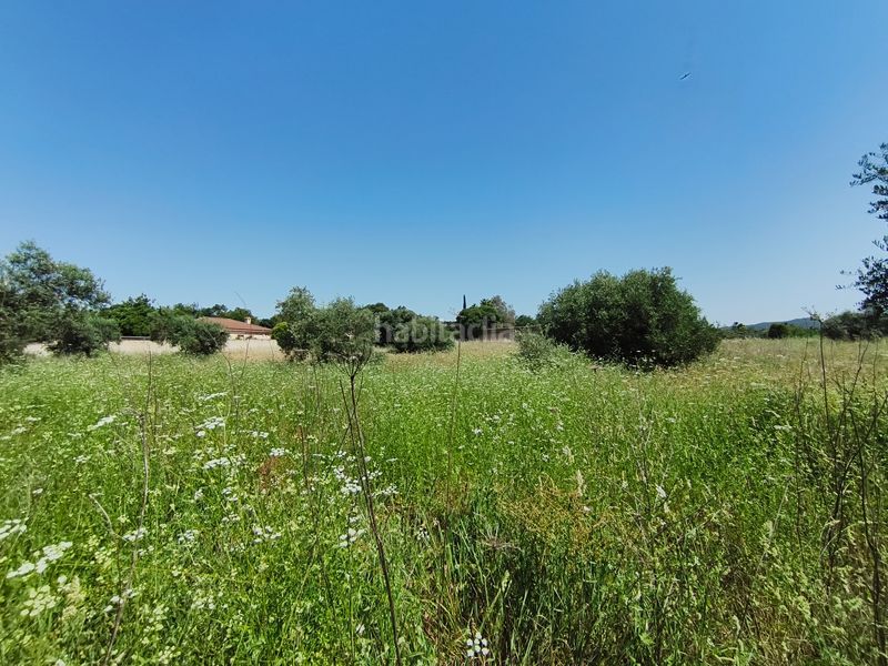 Foto dc1151b8-6db1-4450-a82f-d46536249e94. Finca rústica a extrarradio la colina 154 a Paraíso Arenal - La Colina Córdoba