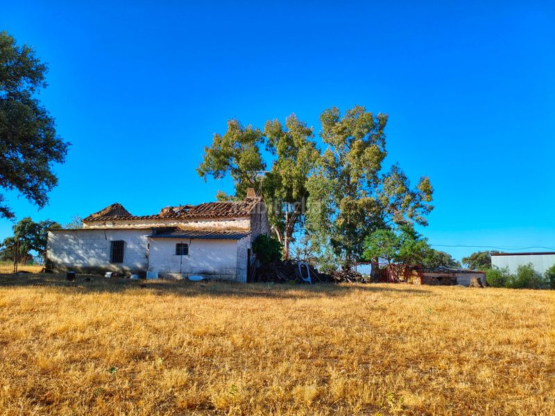 Foto 3a540aae-9966-402f-87a9-146020430ba8. Finca rústica a Dos Torres