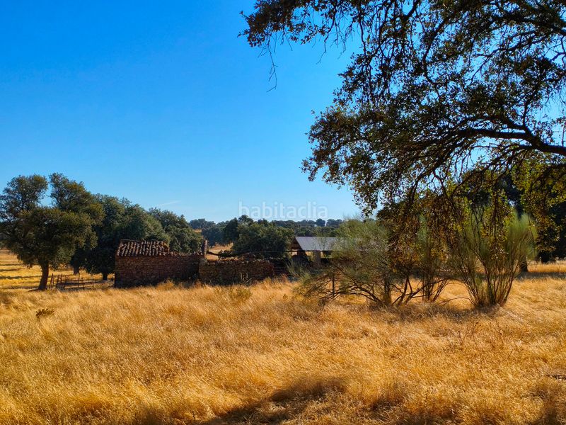 Foto 6d651989-b6b9-4d3c-a0b1-b3ef9e68823d. Finca rústica a Dos Torres