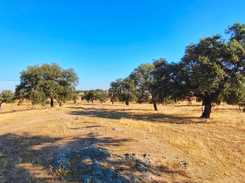 Foto d4cf97c4-13d3-4f14-88b9-b1207cab23fd. Finca rústica a Dos Torres