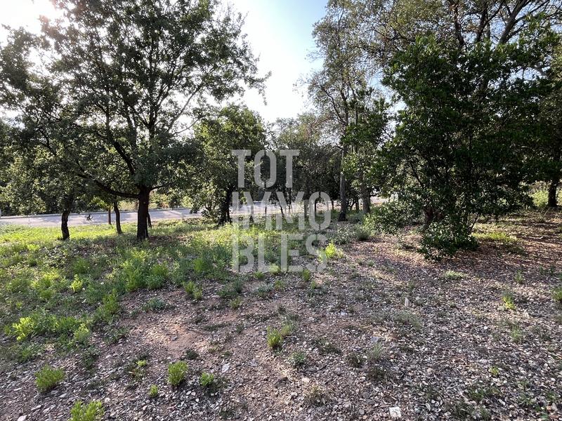 Foto 2dd5f60d-6632-447f-8153-1c55e2eebae0. Terreny residencial a Bescanó