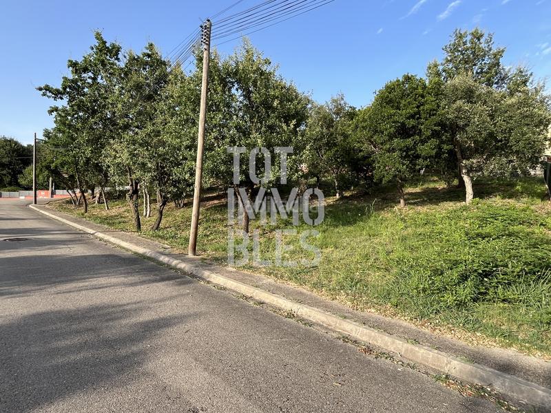 Foto d0793d67-2dfe-42e2-8a04-35e7e5da70c5. Terreny residencial a Bescanó