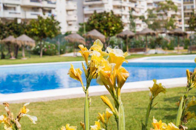 Foto ef11f925-157f-44bc-a4d8-6273cdba48e1. Studiowohnung mit heizung pool in La Pineda Vila-seca