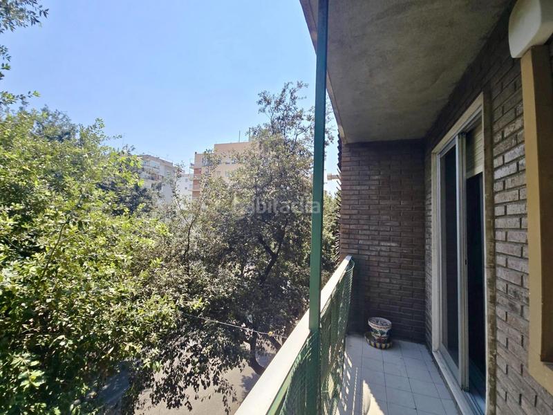 Foto 21ae66c7-5252-4a41-aa91-b06011f43266. Piso un espacio para crecer, respirar y vivir en el corazón verde en Valencia