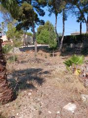 Terreno residenziale  Calle 236 16. Excelente parcela urbana en el plantio