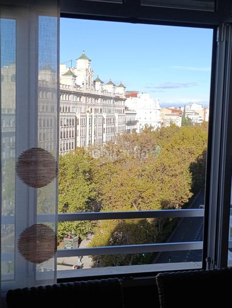 Foto 7874c29a-c012-456b-a133-2db79920bc47. Pis a El Botànic Valencia