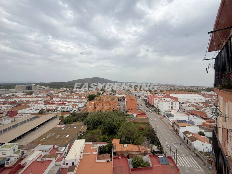 Foto 8195a01e-5de3-4d58-8bb8-16499b94cc0b. Pis a San Pedro-Gabriel Miró-María Guerrero Línea de la Concepción (La)