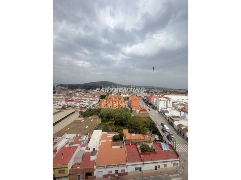 Foto e3cba10b-647a-41af-beee-75db76f095d7. Pis a San Pedro-Gabriel Miró-María Guerrero Línea de la Concepción (La)