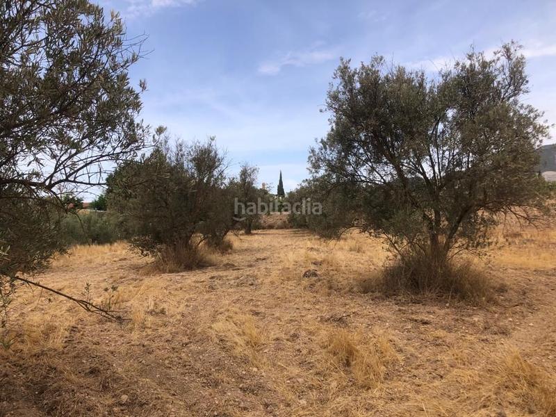 Foto 65e6cbe7-3280-4123-979e-cb43a2c417fd. Finca rústica a Dúrcal