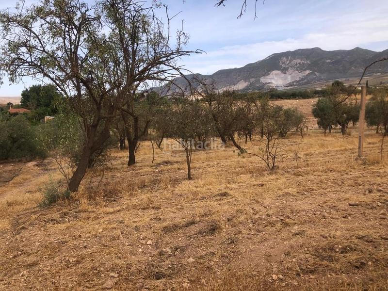 Foto a2d71785-90a1-4a55-89e4-d775461ecee9. Finca rústica a Dúrcal