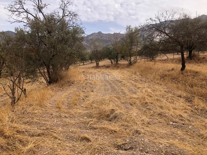 Foto b3804d09-0a66-4f0e-9377-9124046302fa. Finca rústica a Dúrcal