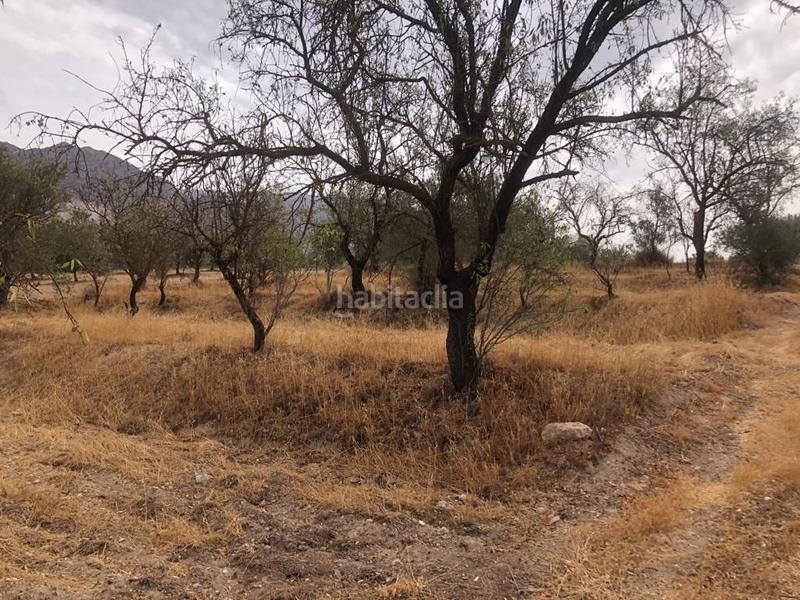 Foto c1465f36-0107-4f88-9be0-d7e834f36a58. Finca rústica a Dúrcal