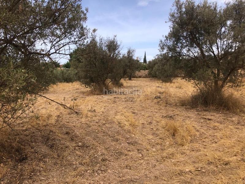 Foto f1edc640-2297-4b0a-8cdd-8b91e84aca5f. Finca rústica a Dúrcal