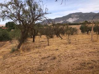 Finca rústica a Dúrcal