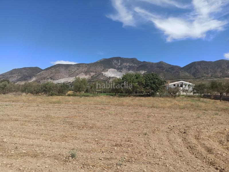 Foto 53a99e37-9a6f-4844-ae11-a74d3ccf8fb7. Finca rústica en Dúrcal