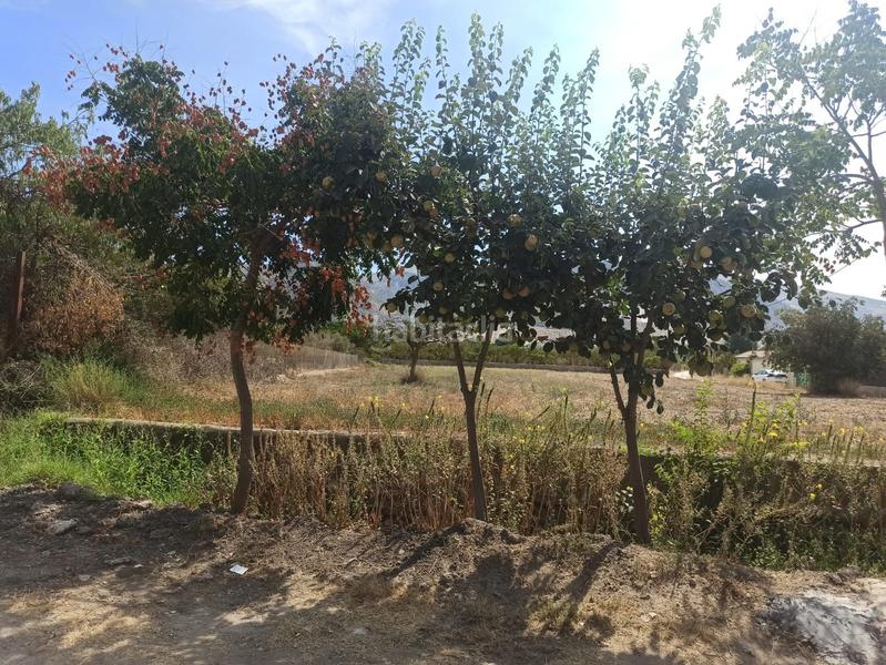 Foto cc3d3b96-f699-4358-9423-f1a5f1efe74b. Finca rústica en Dúrcal