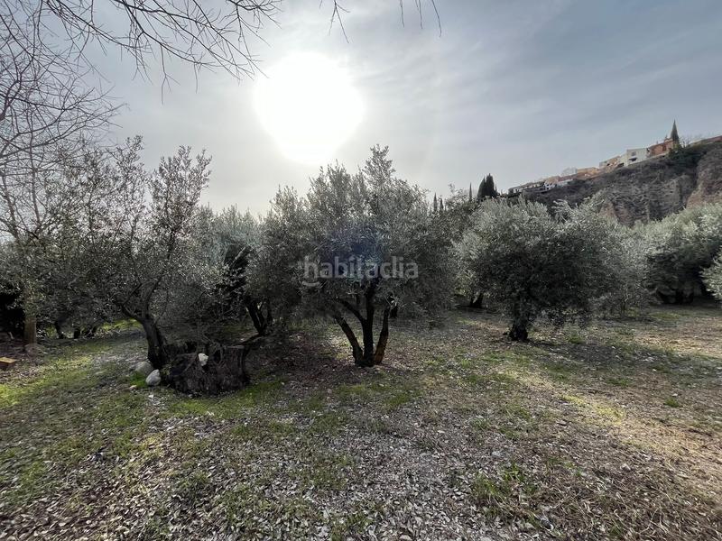 Foto 15a94c54-6ed5-4b4e-a8e6-5fd43364b968. Finca rústica finca en acequias en Lecrín