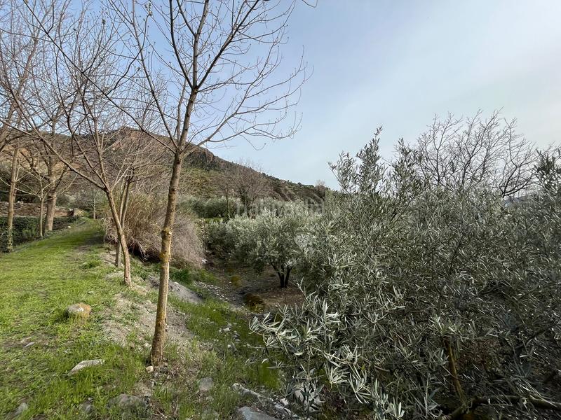 Foto 222288ce-7a9f-4484-9b05-08c5a48c4ab2. Finca rústica finca en acequias en Lecrín