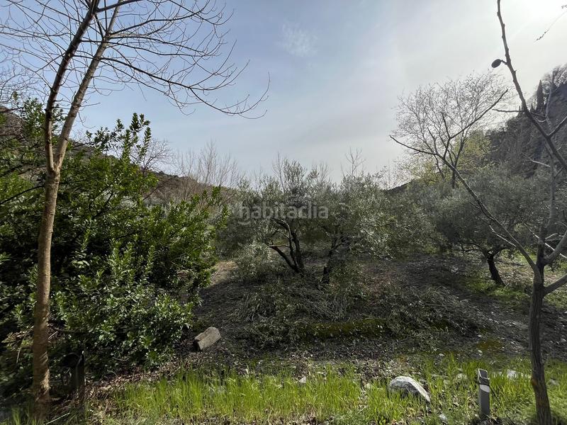 Foto 35eddd22-42a0-4b07-ad2f-1200ec08902f. Finca rústica finca en acequias en Lecrín