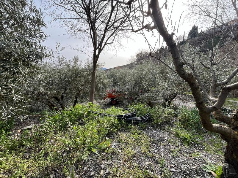 Foto 4568ff42-fa39-4119-99f0-aaa7972ad588. Finca rústica finca en acequias en Lecrín