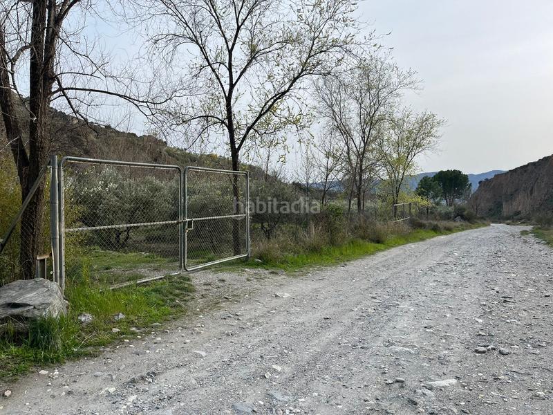 Foto 6e610003-7aad-4ade-81d2-86e5889ed46b. Finca rústica finca en acequias en Lecrín