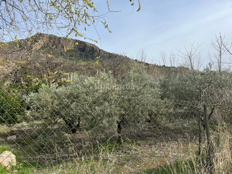 Foto bfba3008-5dd2-412e-b592-d2e9dc3db59c. Finca rústica finca en acequias en Lecrín