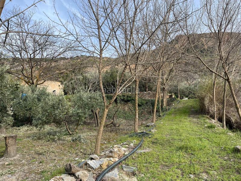 Foto fa81ee8a-7df3-45d8-87c9-0462358a0729. Finca rústica finca en acequias en Lecrín