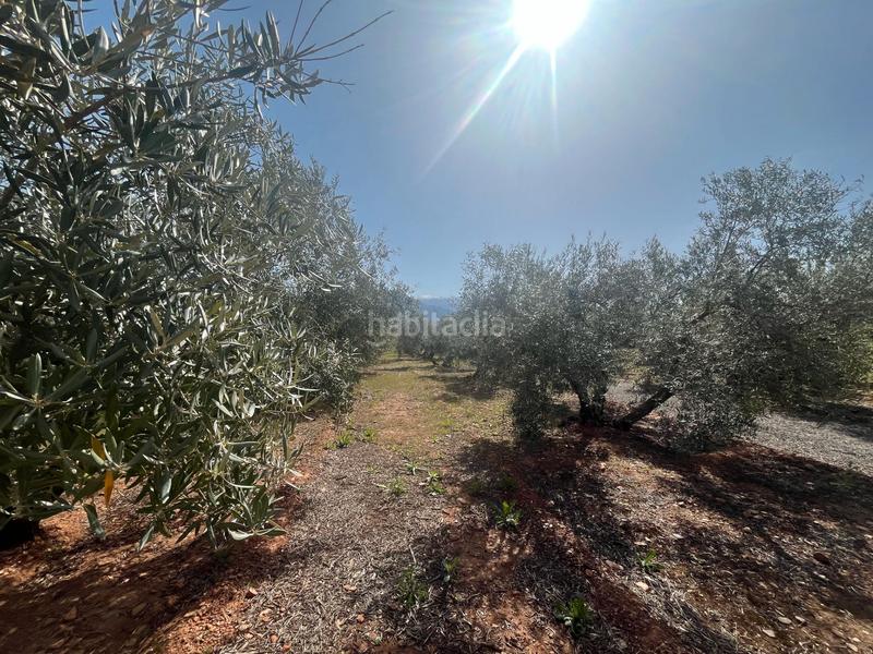 Foto 512e37c9-7792-46f4-b385-2bd566379210. Finca rústica a Villamena